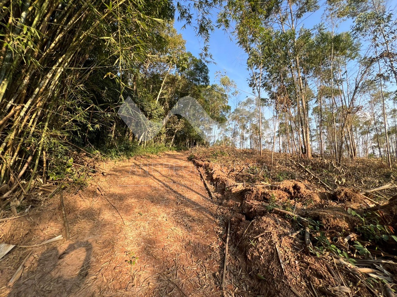 Terreno à venda, 20000m² - Foto 14