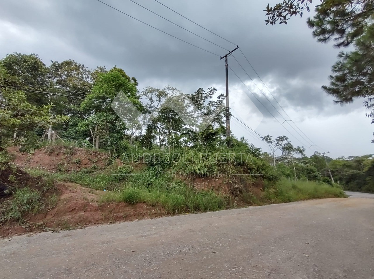 Terreno à venda, 20000m² - Foto 5