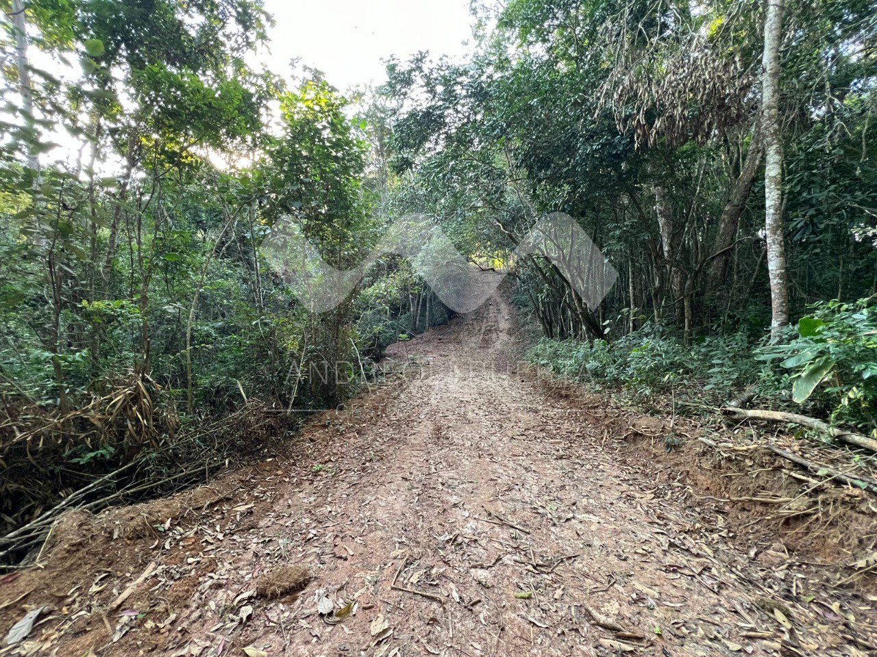 Terreno à venda, 20000m² - Foto 10