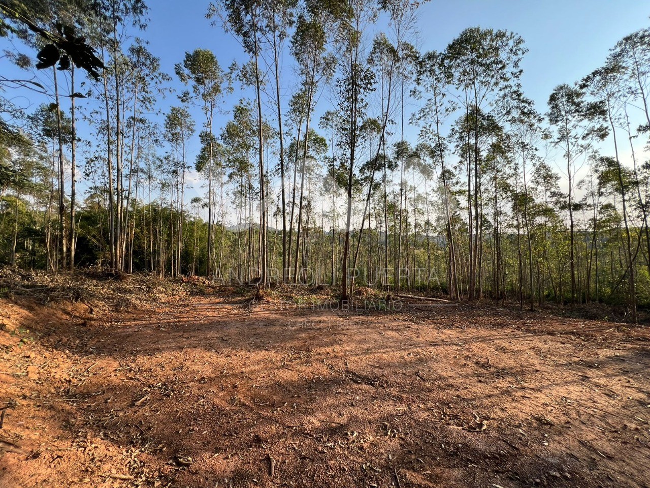 Terreno à venda, 20000m² - Foto 15