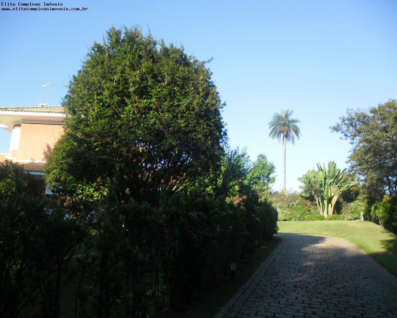 Casa de Condomínio à venda com 6 quartos, 6000m² - Foto 2