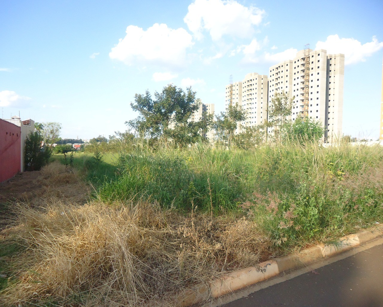 Terreno à venda, 13000m² - Foto 3