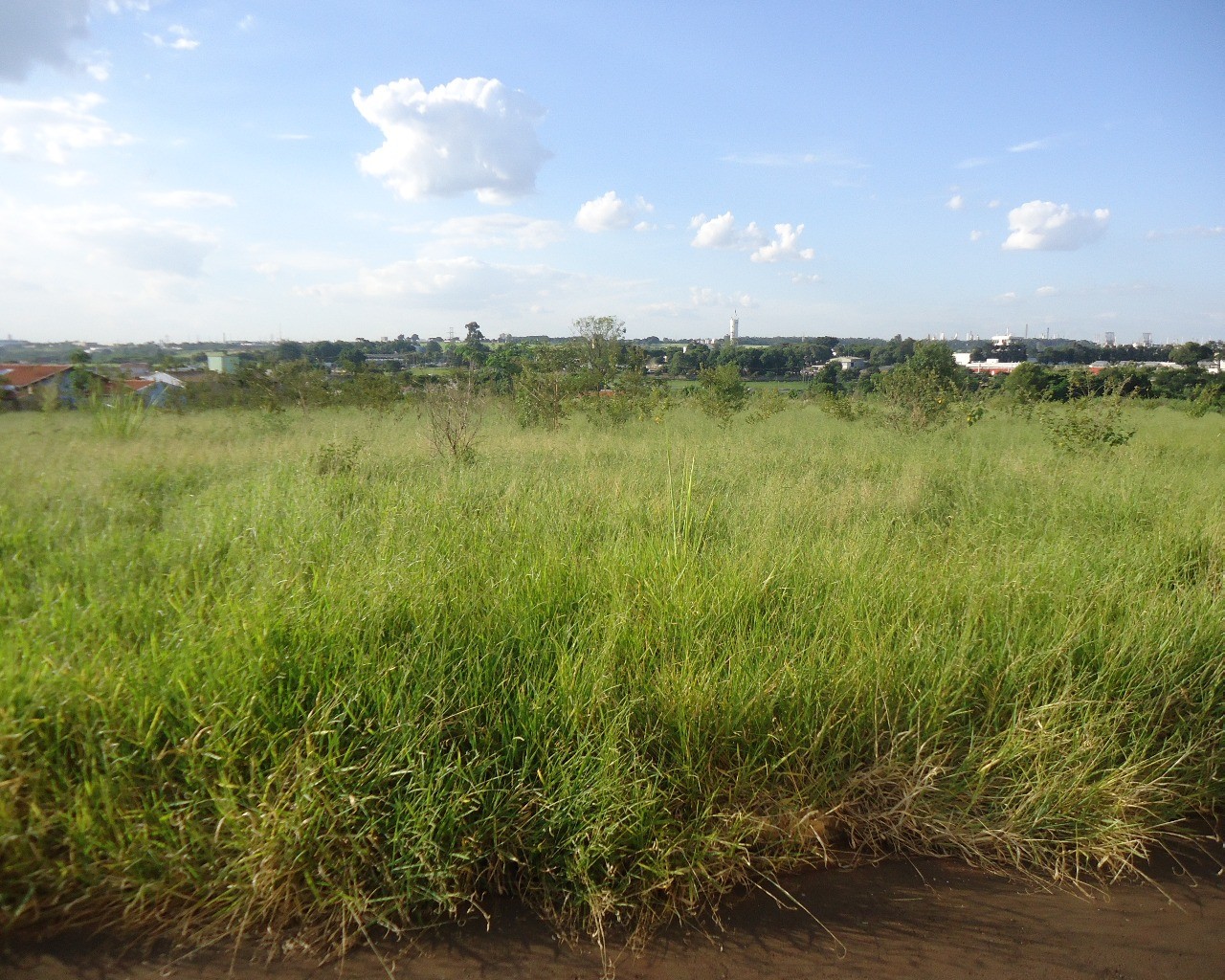 Terreno à venda, 13000m² - Foto 1