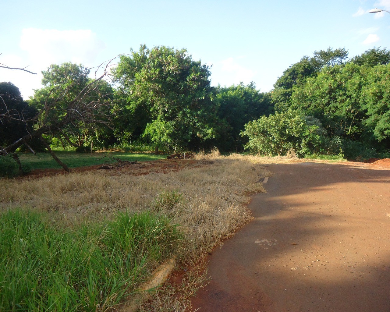 Terreno à venda, 15000m² - Foto 3