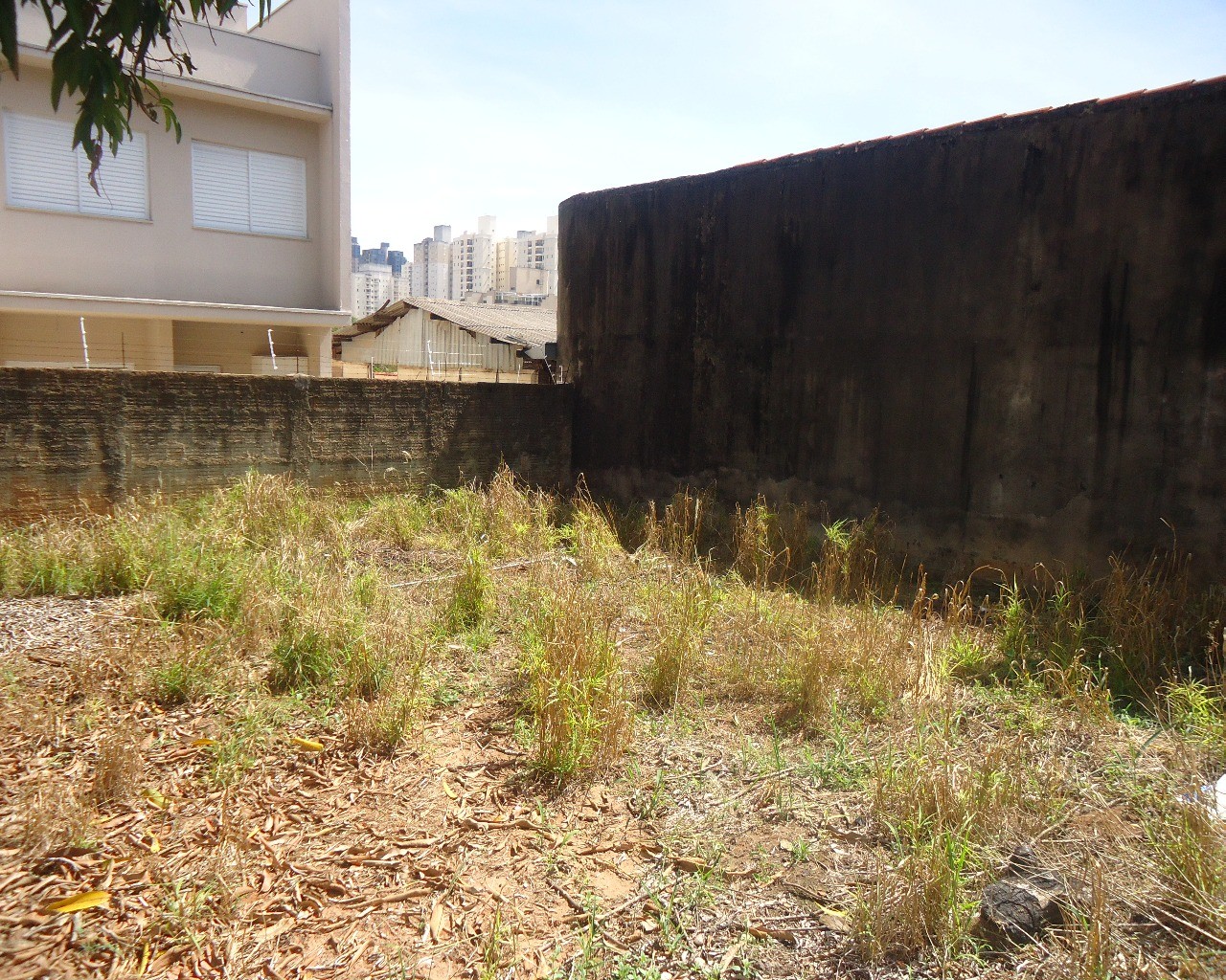 Terreno à venda com 3 quartos, 1000m² - Foto 11