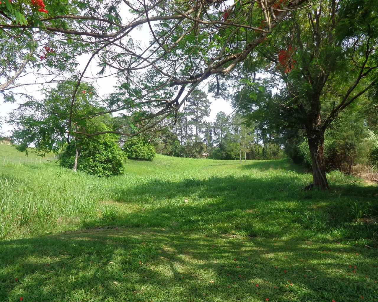 Terreno à venda, 5300m² - Foto 1