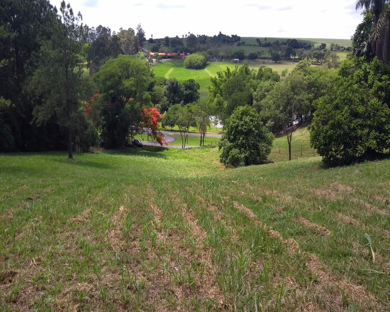 Terreno à venda, 5300m² - Foto 7