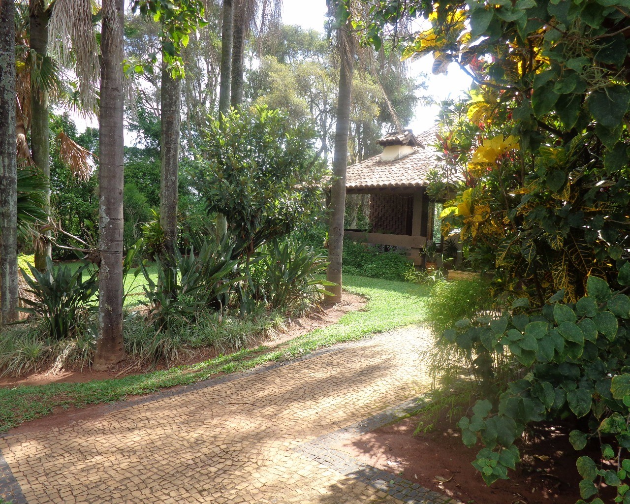 Casa de Condomínio à venda com 4 quartos, 5000m² - Foto 3