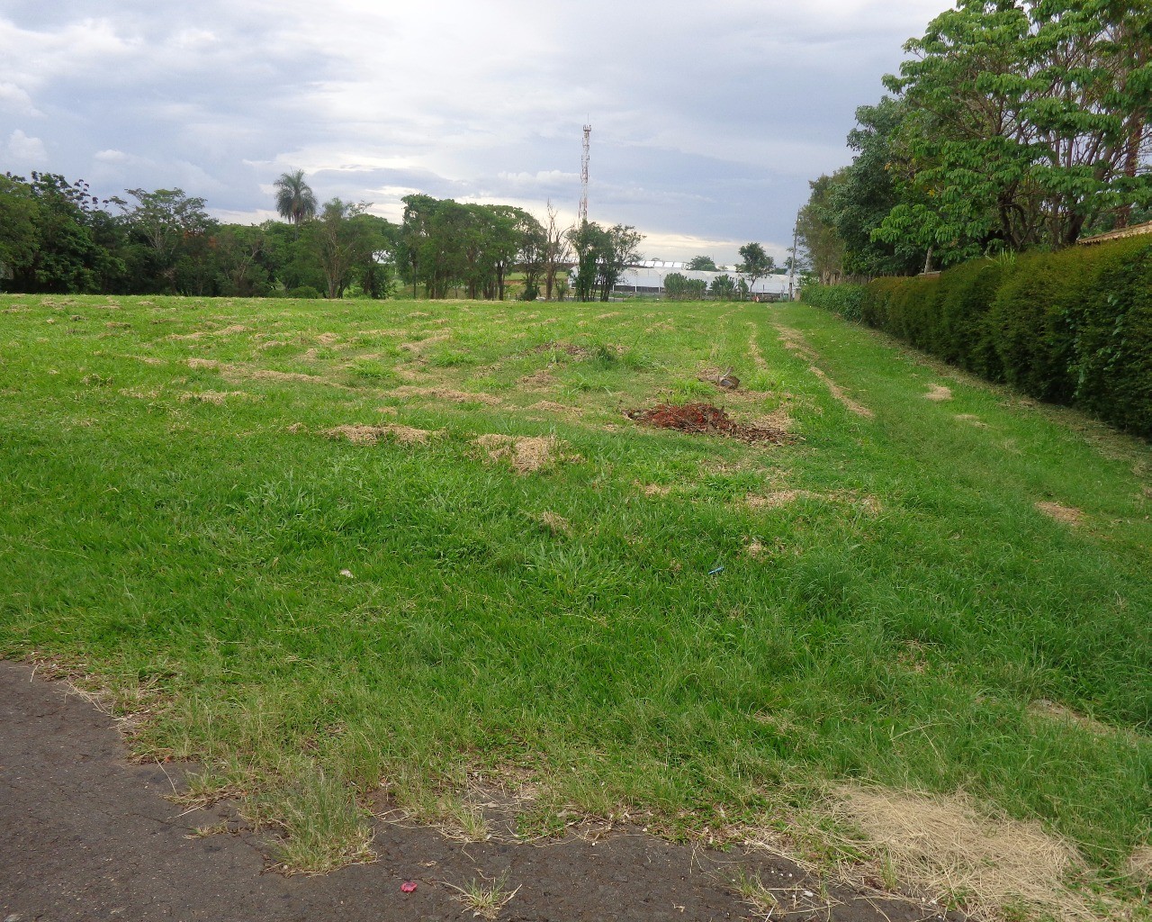 Terreno à venda, 5400m² - Foto 6