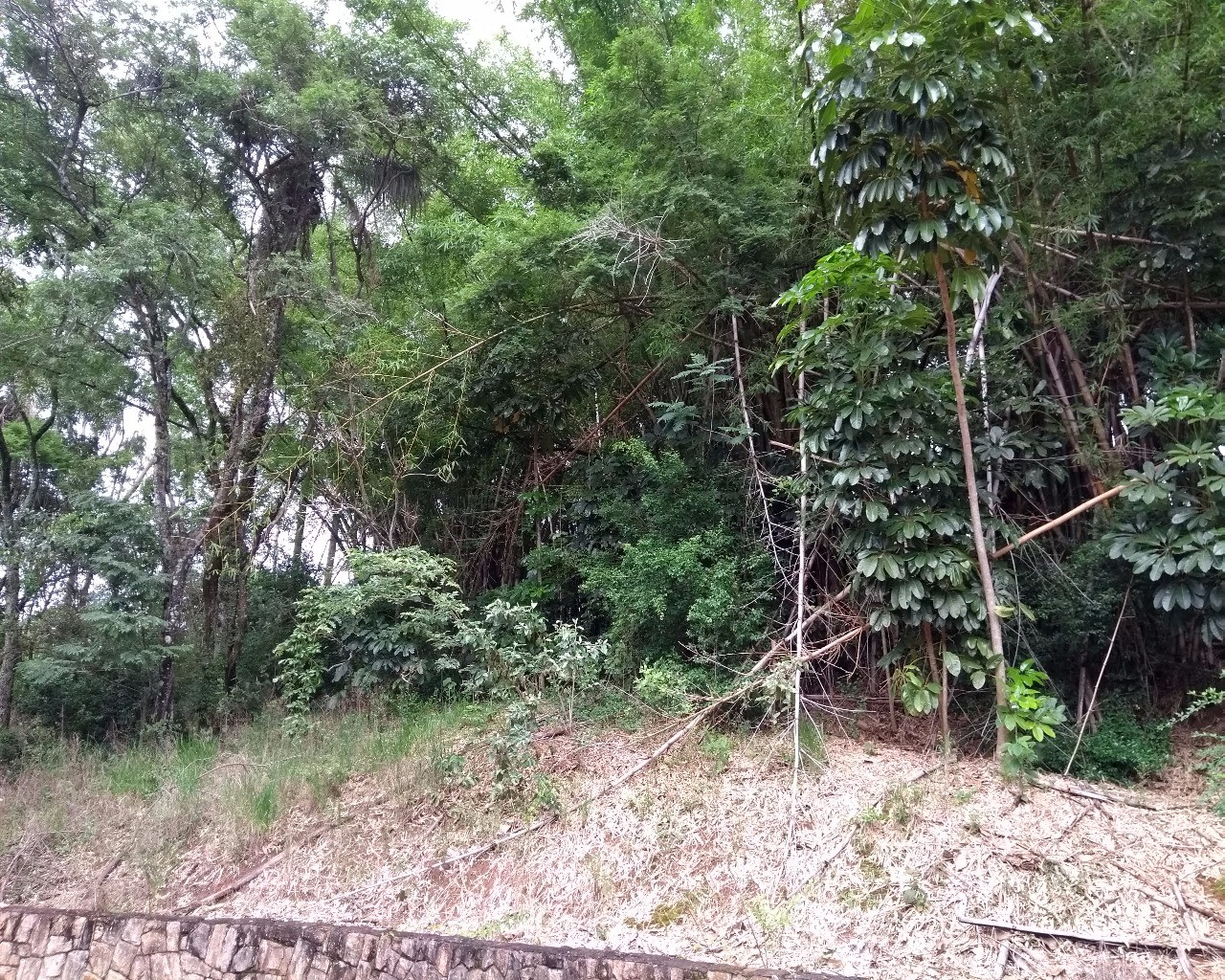 Casa de Condomínio, 5 quartos - Foto 23