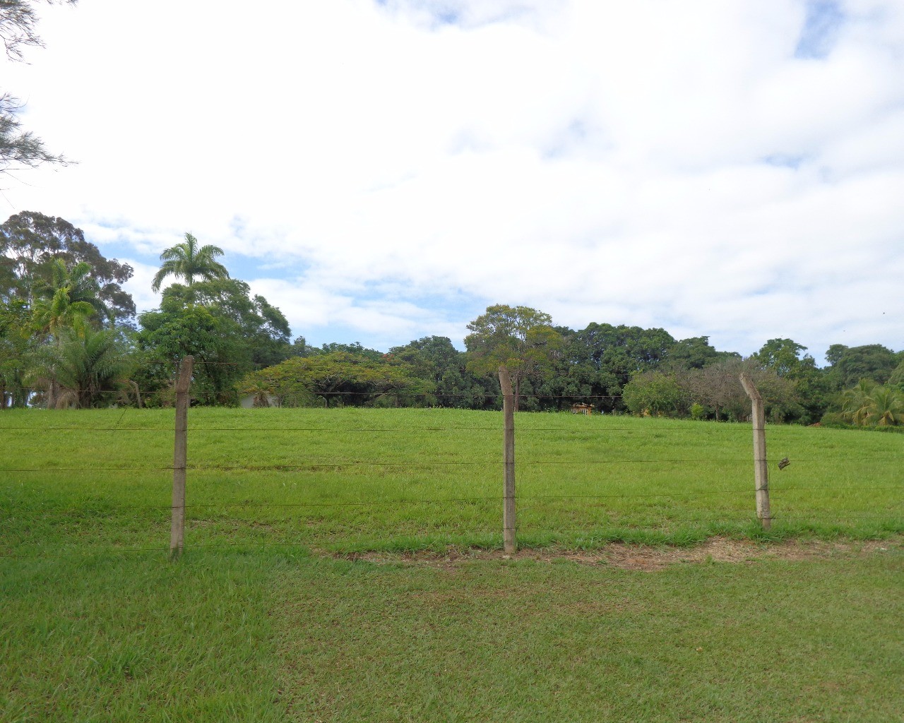 Terreno à venda, 7000m² - Foto 3