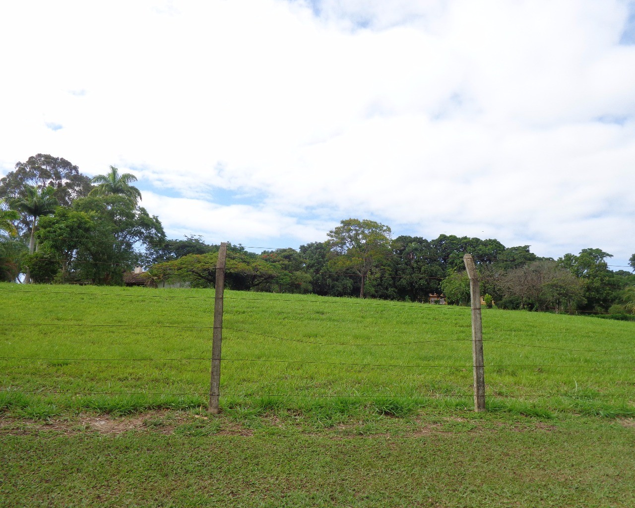 Terreno à venda, 7000m² - Foto 4