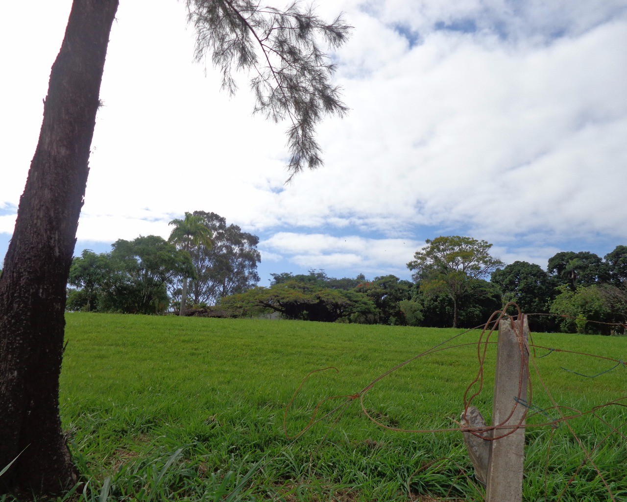 Terreno à venda, 7000m² - Foto 5