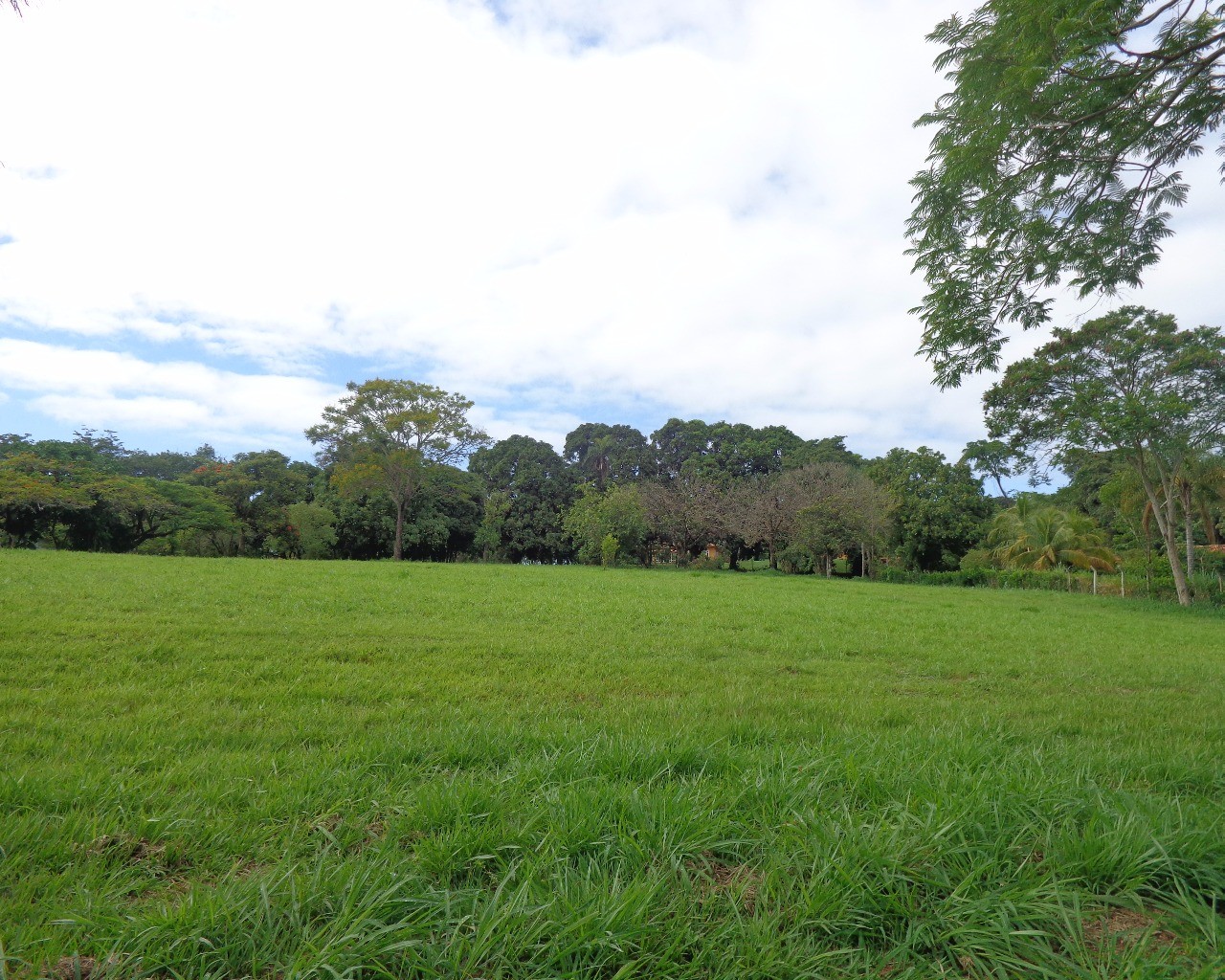 Terreno à venda, 7000m² - Foto 7