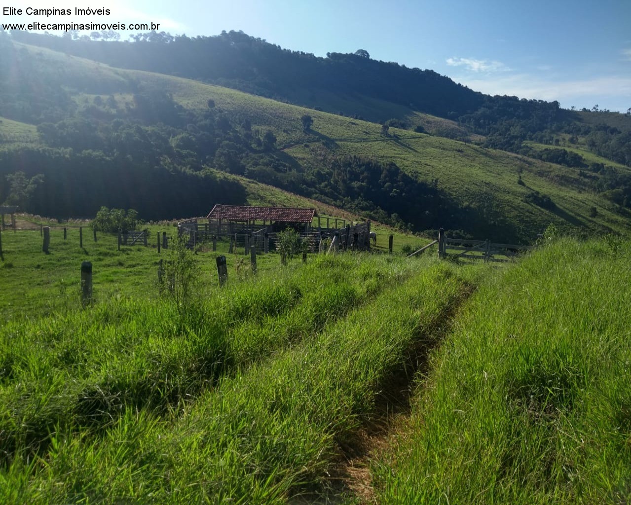 Fazenda à venda com 3 quartos, 60m² - Foto 5