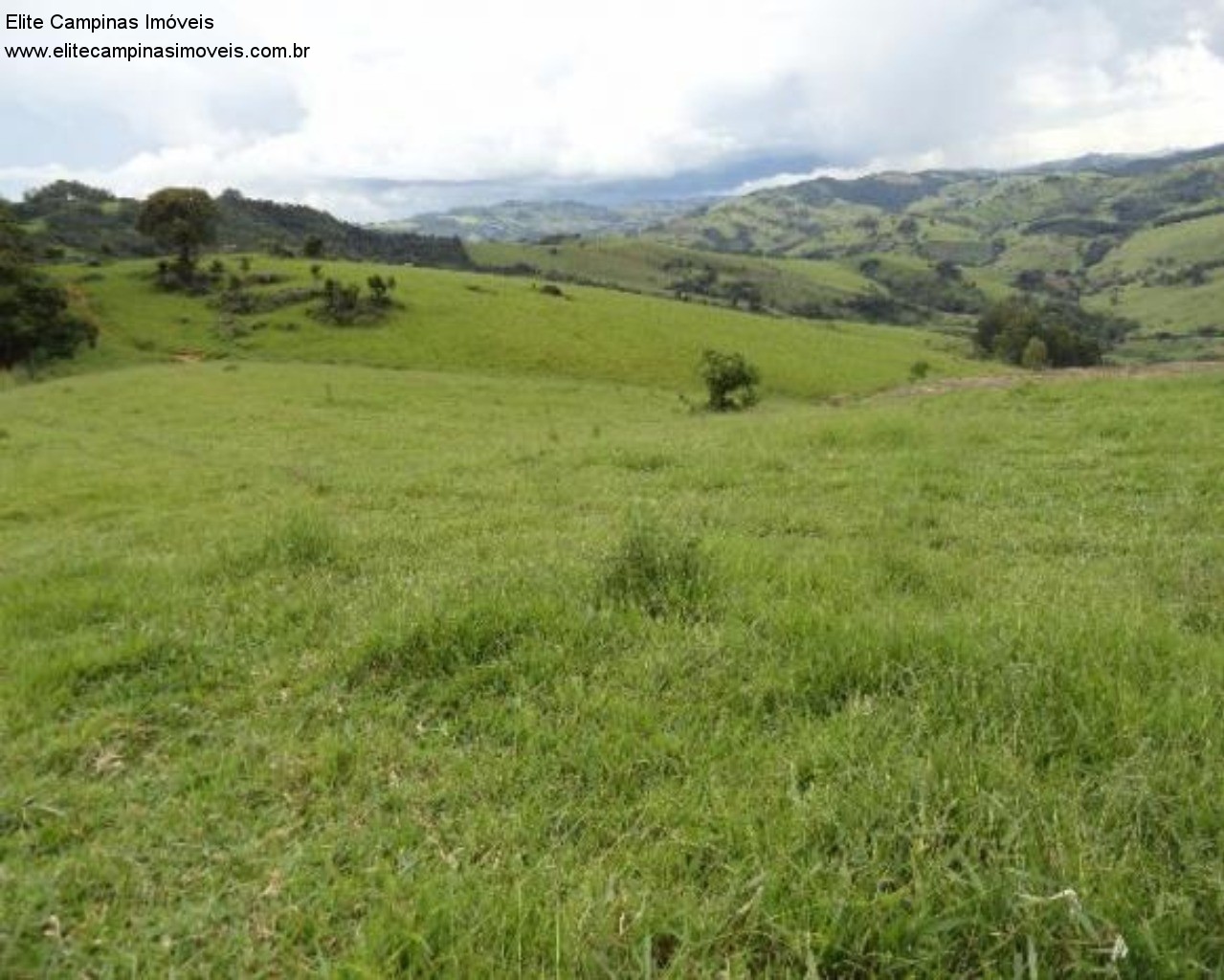 Fazenda à venda com 3 quartos, 60m² - Foto 20