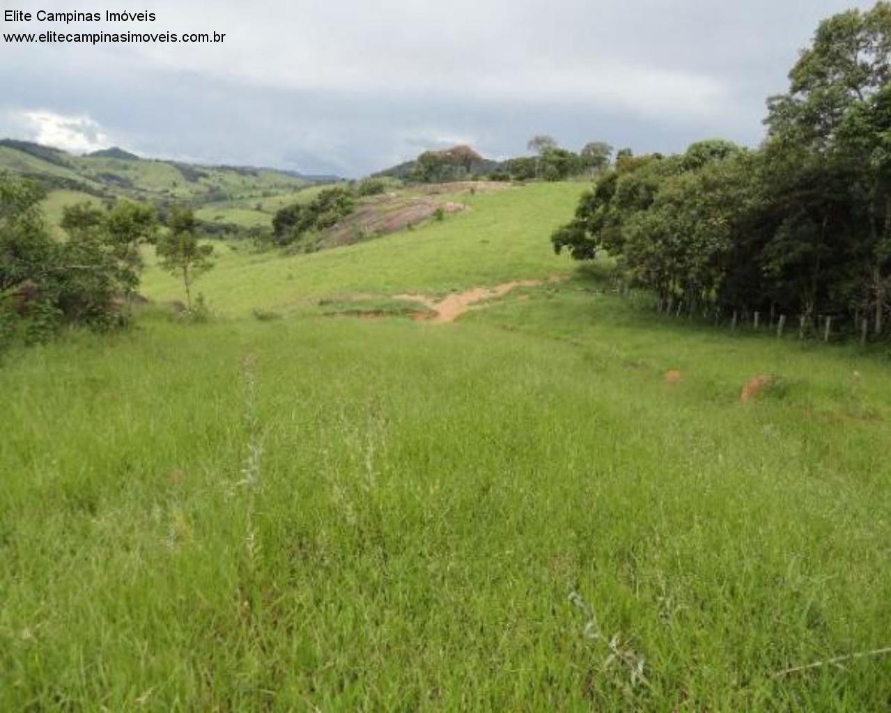 Fazenda à venda com 3 quartos, 60m² - Foto 21