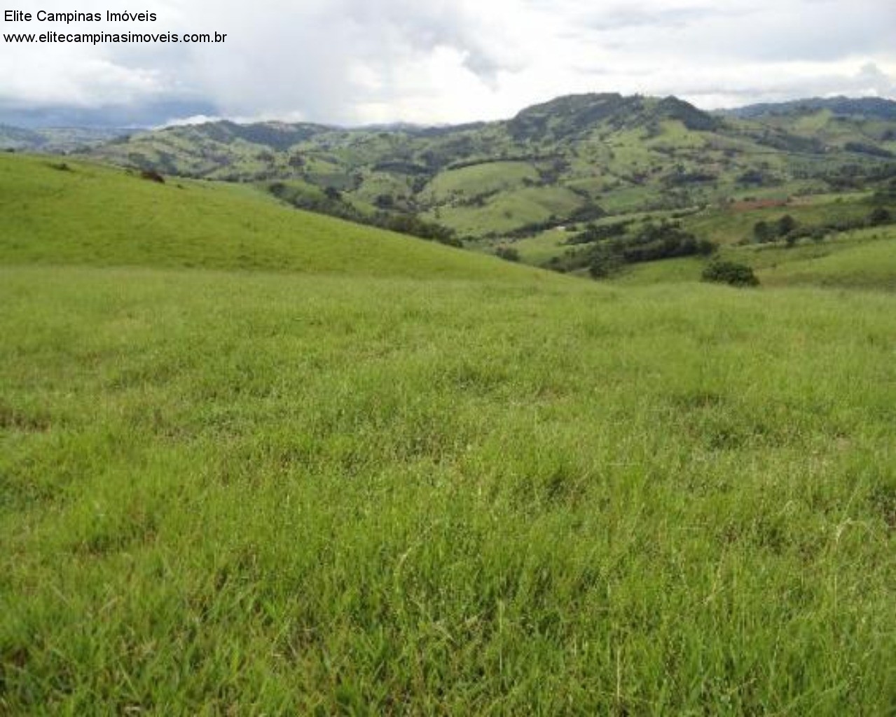 Fazenda à venda com 3 quartos, 60m² - Foto 22