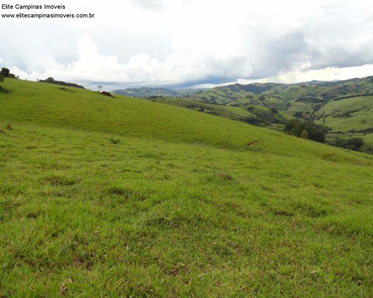 Fazenda à venda com 3 quartos, 60m² - Foto 24