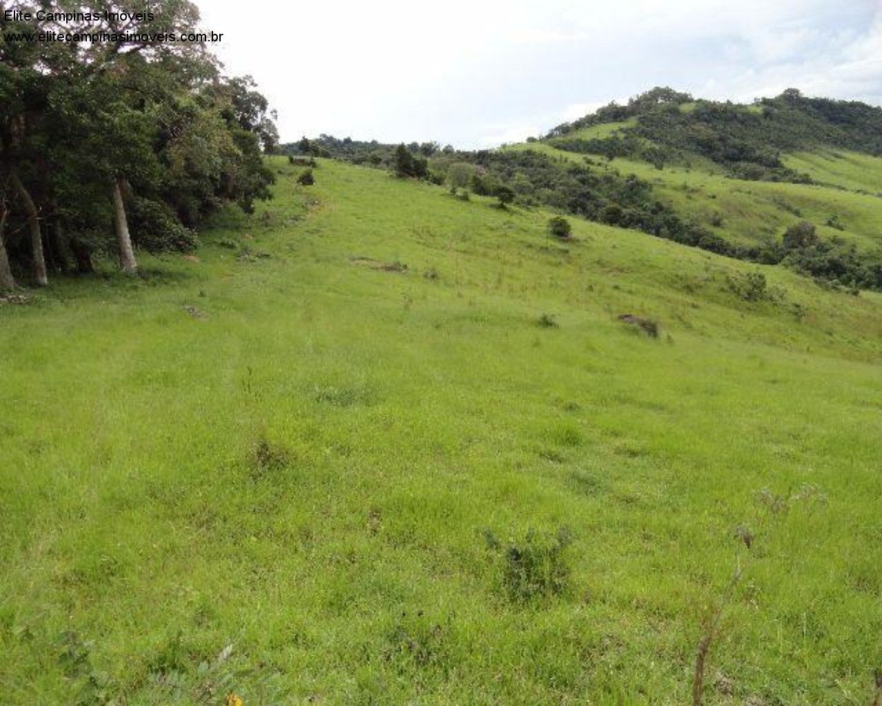 Fazenda à venda com 3 quartos, 60m² - Foto 25