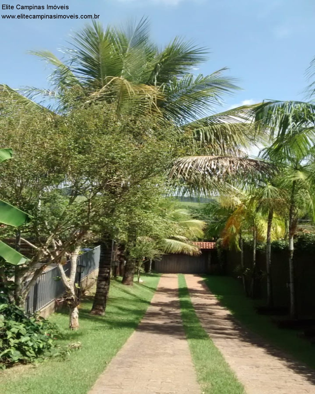 Fazenda à venda com 3 quartos, 1000m² - Foto 3