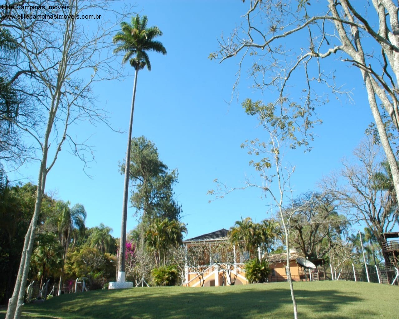 Fazenda à venda, 6m² - Foto 6