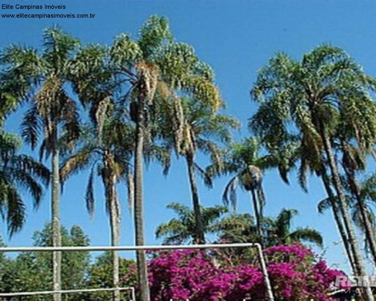 Fazenda à venda, 6m² - Foto 28