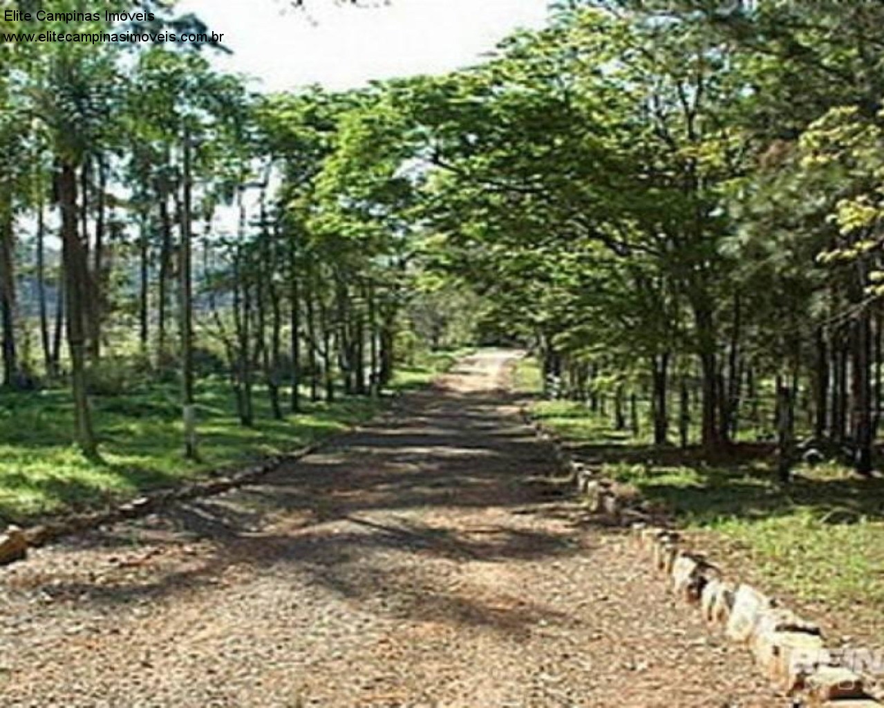 Fazenda à venda, 6m² - Foto 41