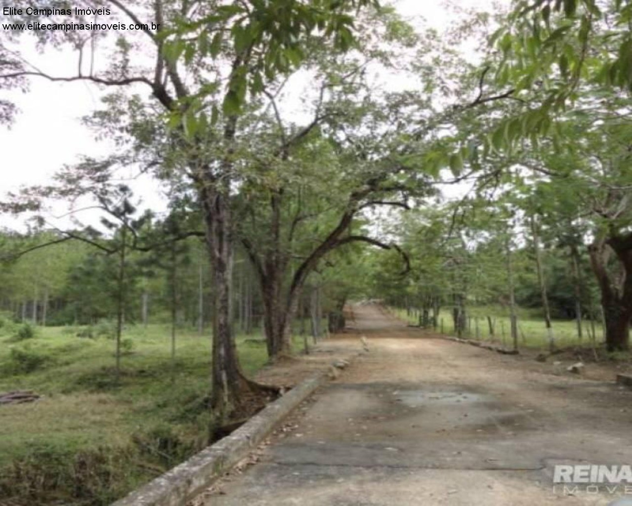 Fazenda à venda, 6m² - Foto 44