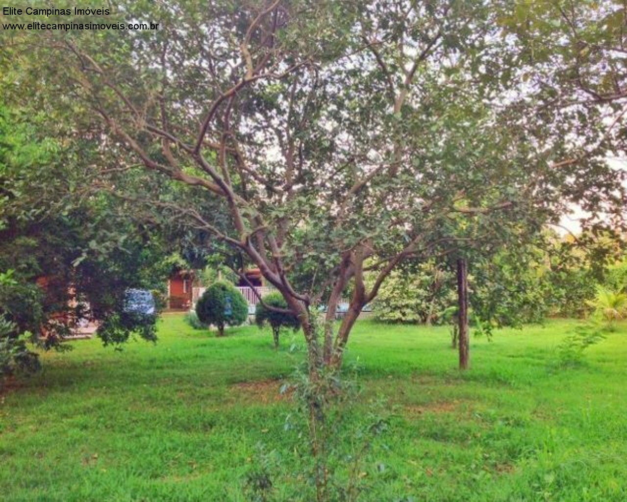 Fazenda à venda com 3 quartos, 1830m² - Foto 3