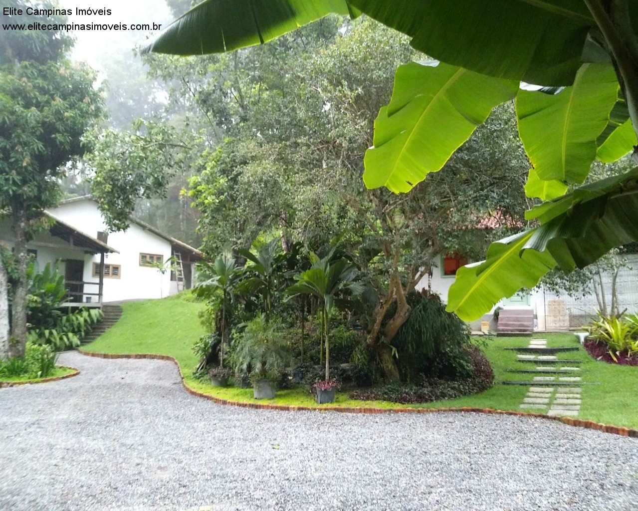 Fazenda à venda com 3 quartos, 12400m² - Foto 8