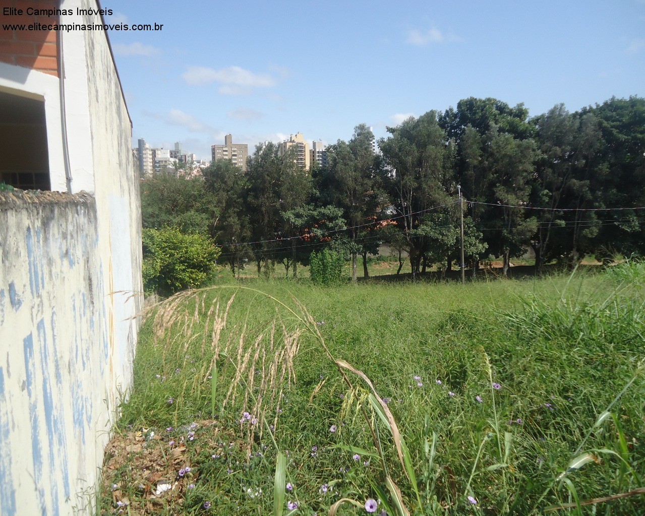 Loteamento e Condomínio à venda, 1000m² - Foto 5