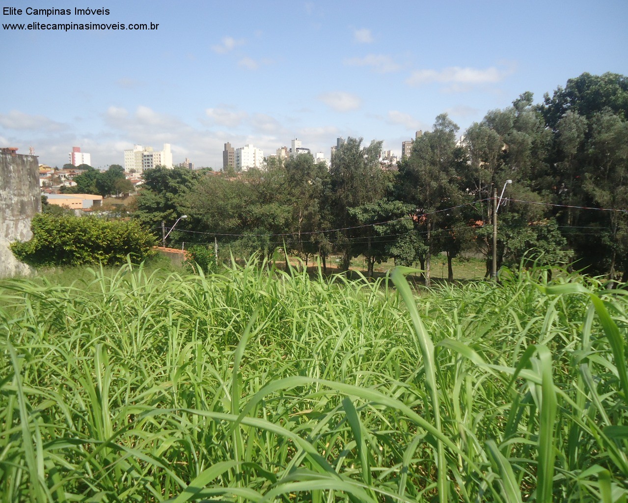 Loteamento e Condomínio à venda, 1000m² - Foto 6