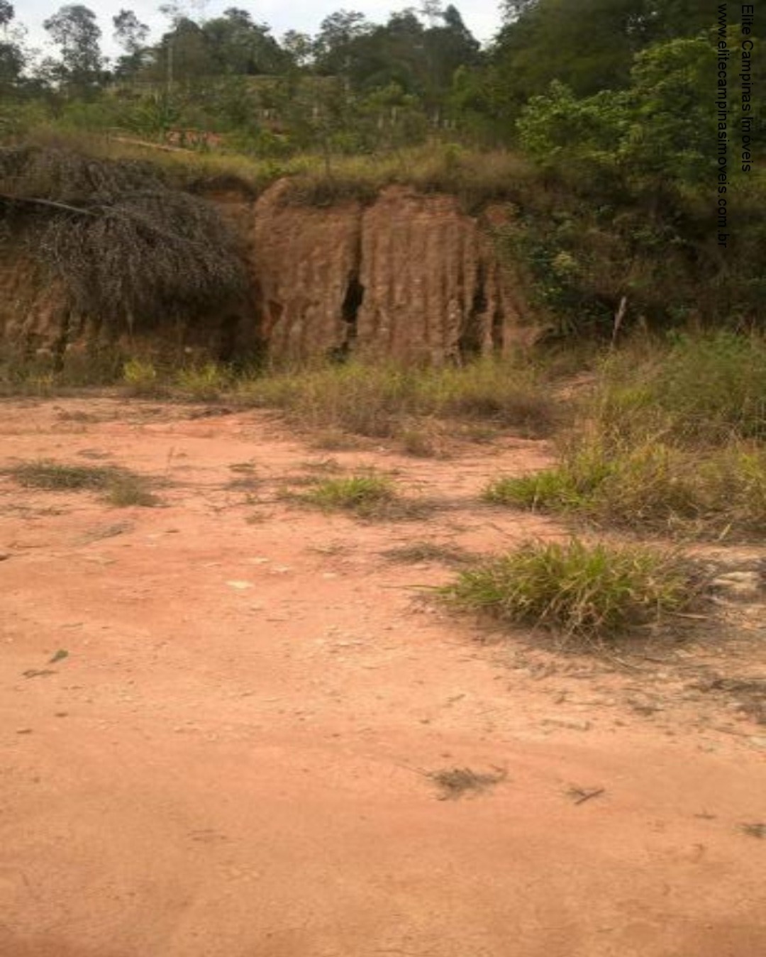 Fazenda à venda, 1800m² - Foto 7