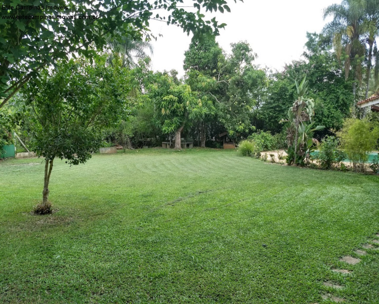 Fazenda à venda com 4 quartos, 1700m² - Foto 12