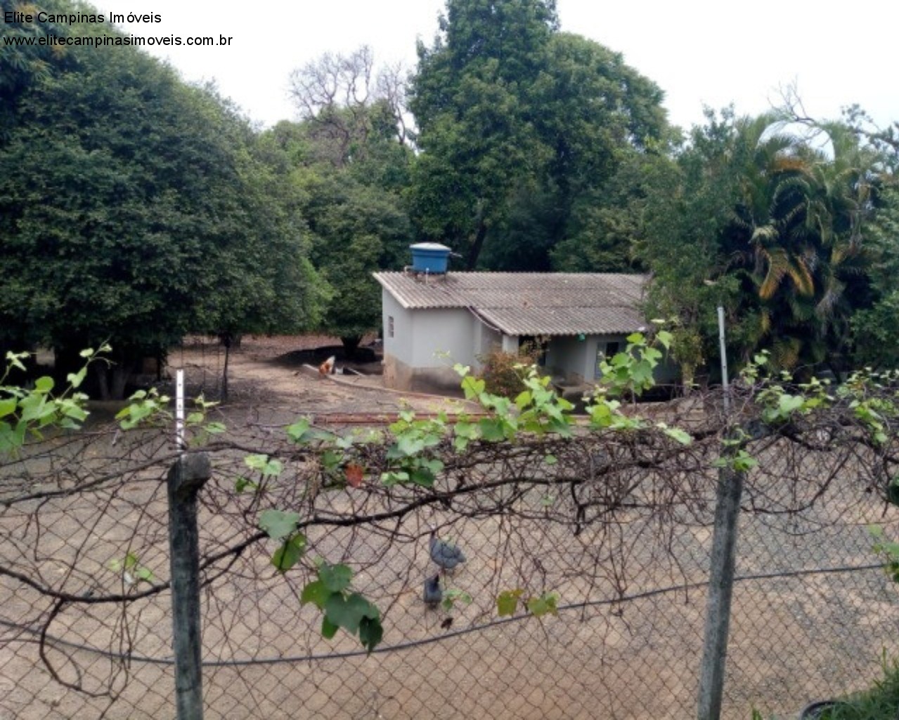 Fazenda à venda com 4 quartos, 5250m² - Foto 15