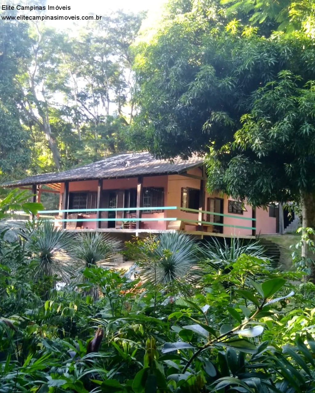 Fazenda à venda com 3 quartos, 12400m² - Foto 11