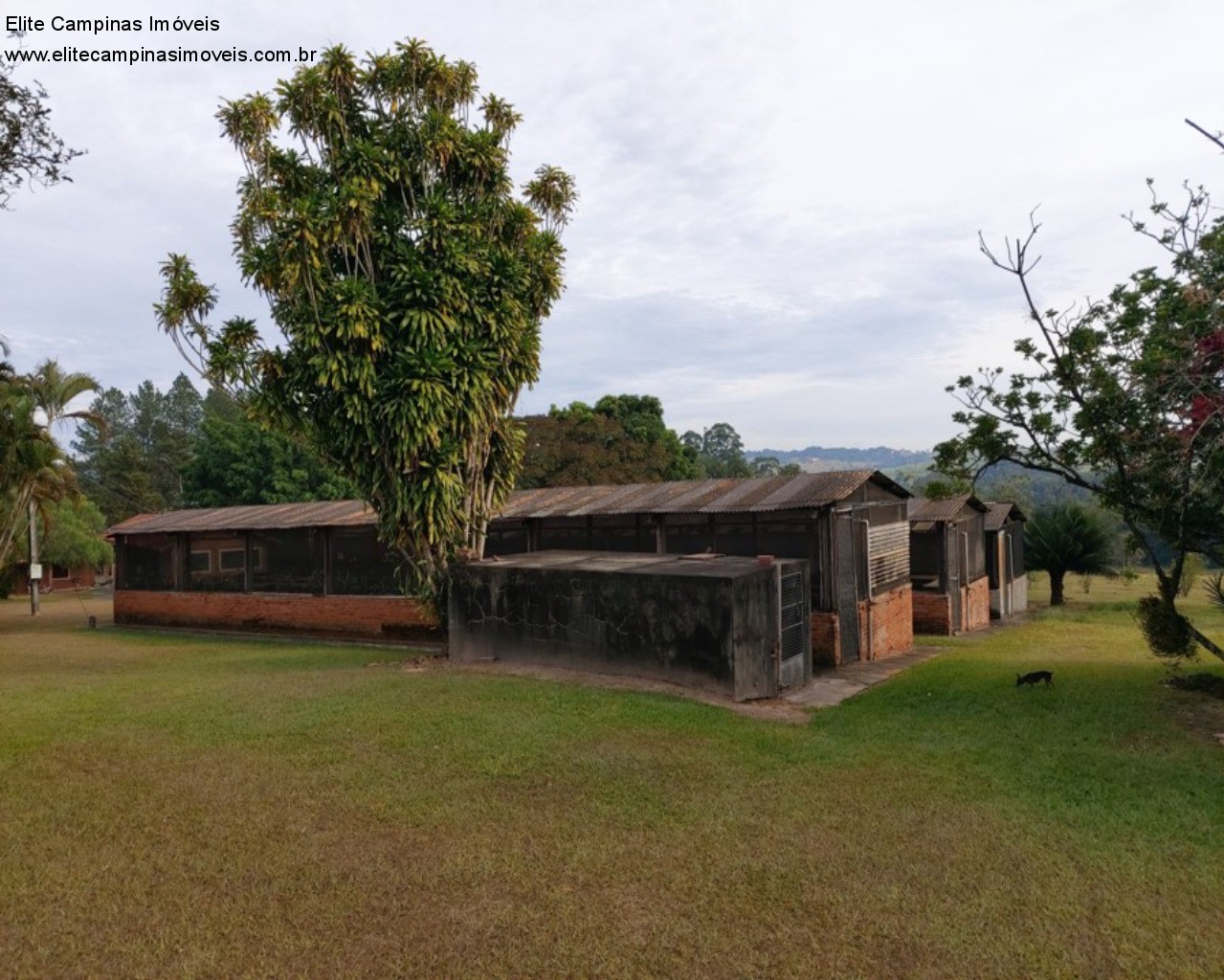 Fazenda à venda, 168000m² - Foto 9