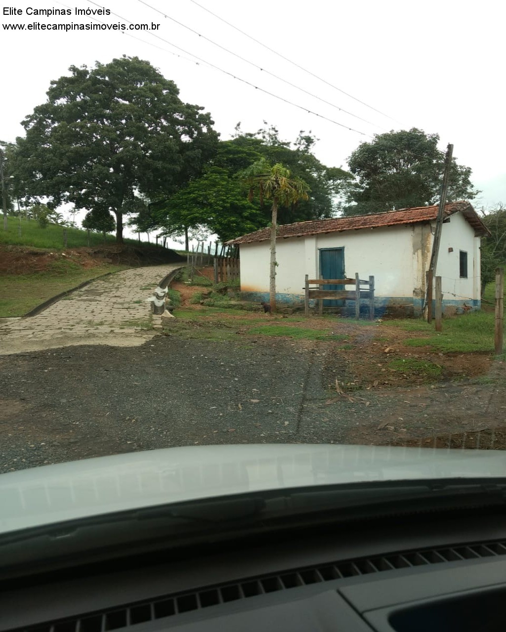 Fazenda à venda com 3 quartos, 10m² - Foto 8