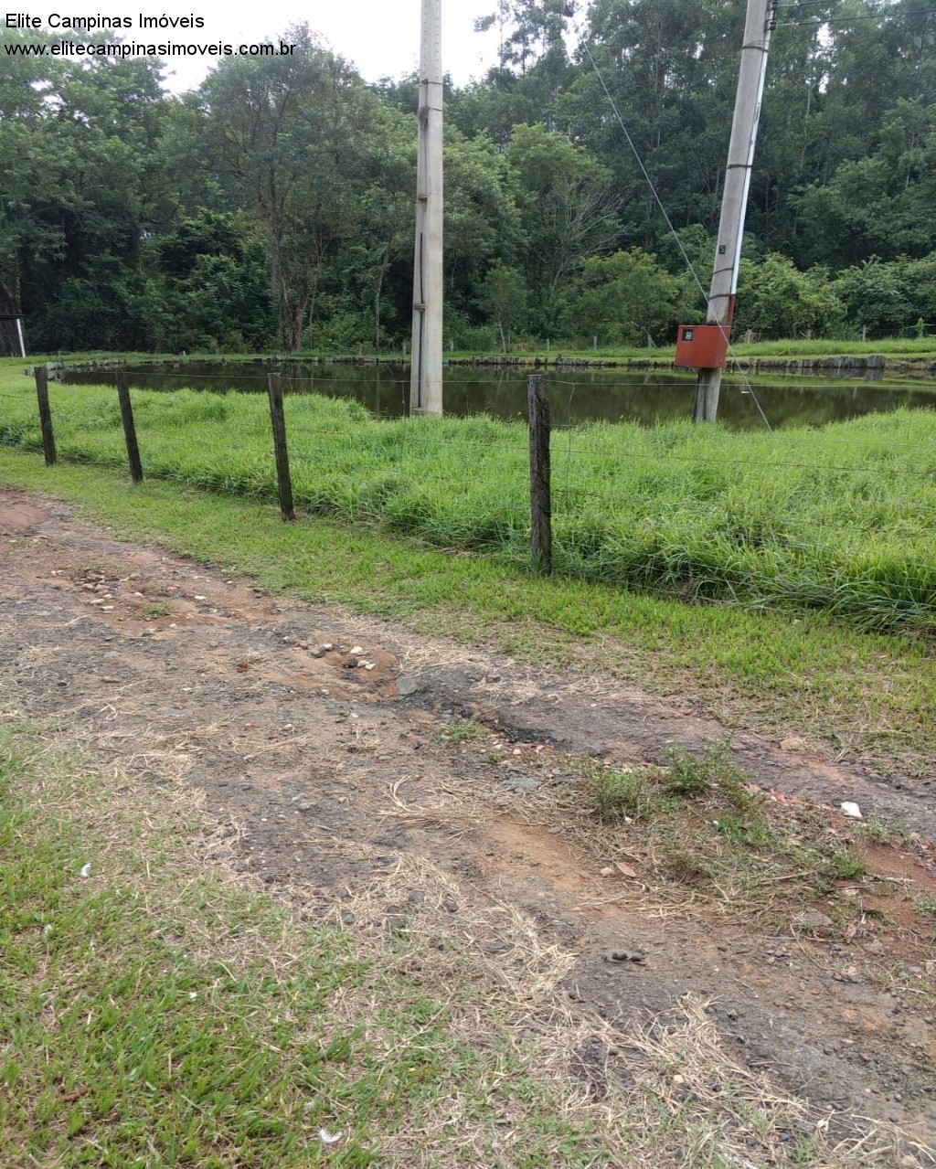 Fazenda à venda com 3 quartos, 10m² - Foto 9