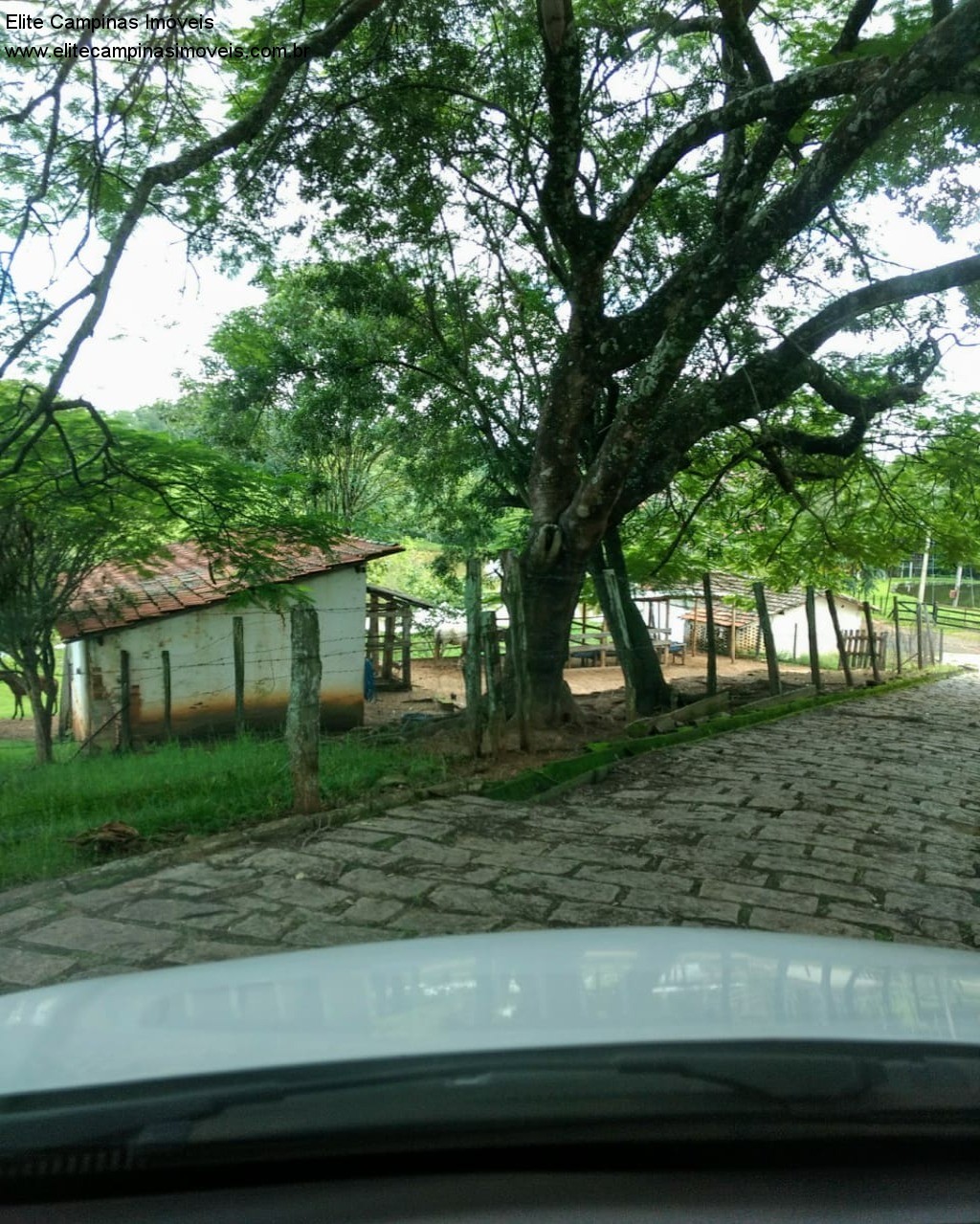 Fazenda à venda com 3 quartos, 10m² - Foto 19