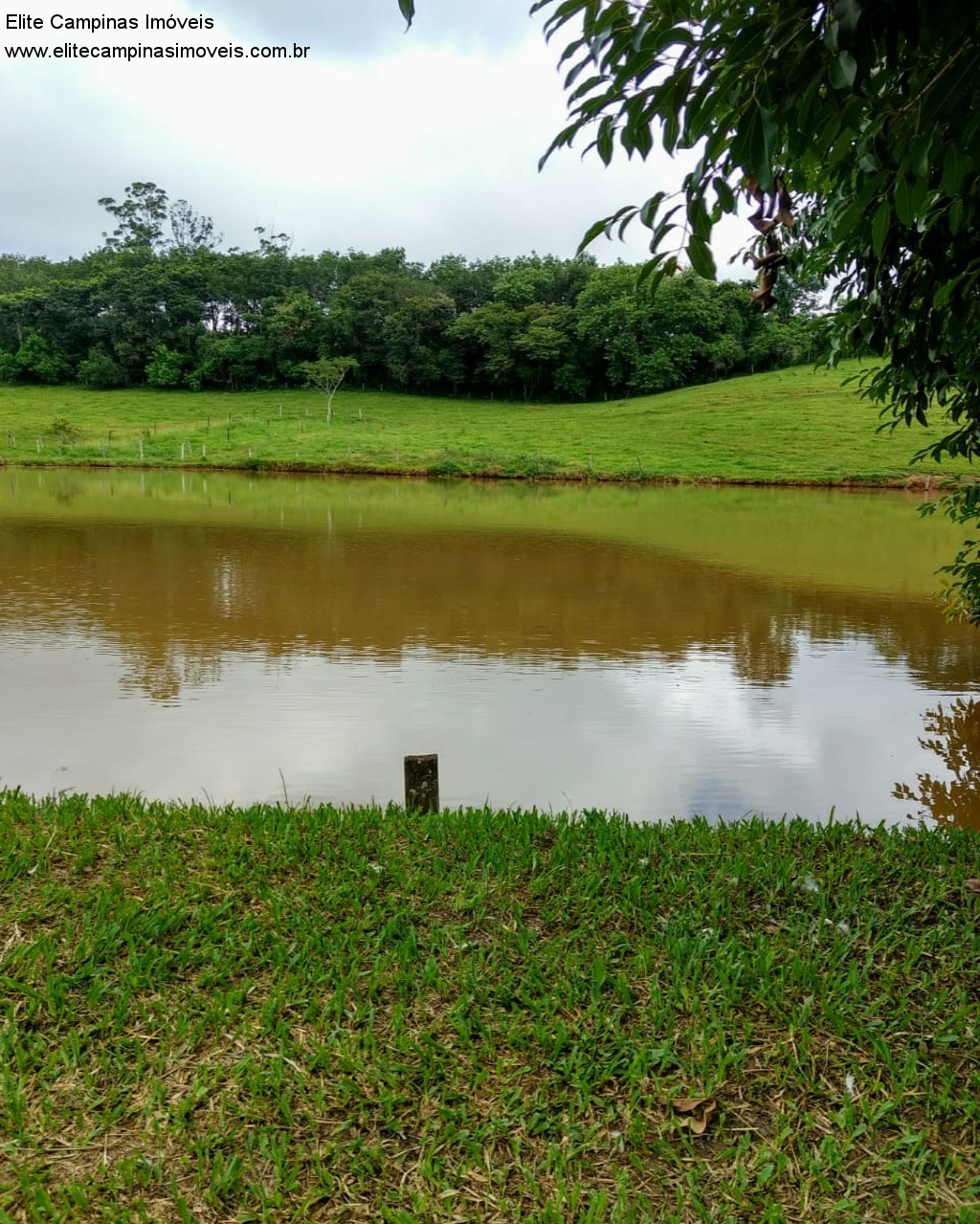 Fazenda à venda com 3 quartos, 10m² - Foto 20