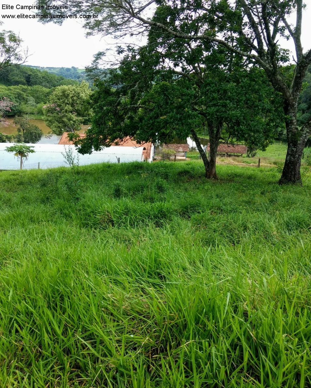 Fazenda à venda com 3 quartos, 10m² - Foto 22