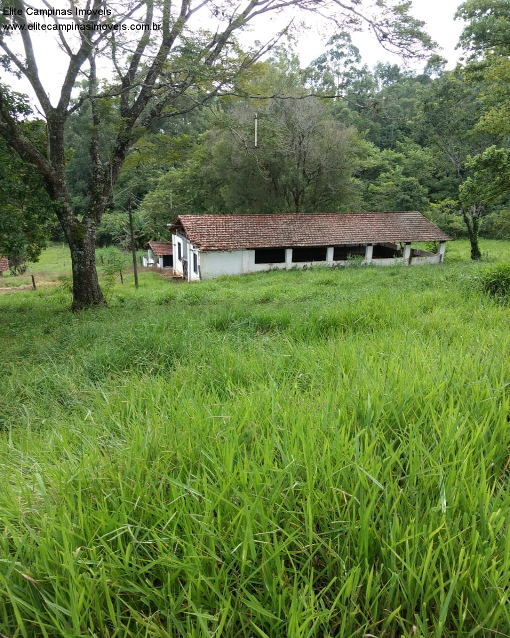 Fazenda à venda com 3 quartos, 10m² - Foto 24