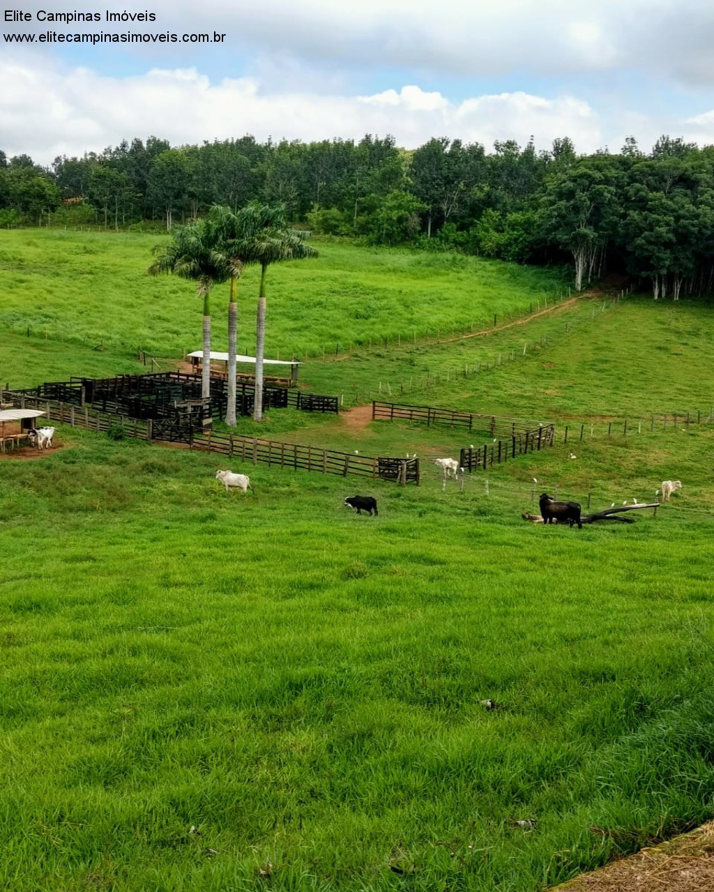 Fazenda à venda com 3 quartos, 10m² - Foto 25