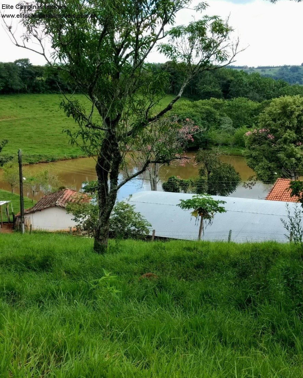 Fazenda à venda com 3 quartos, 10m² - Foto 29