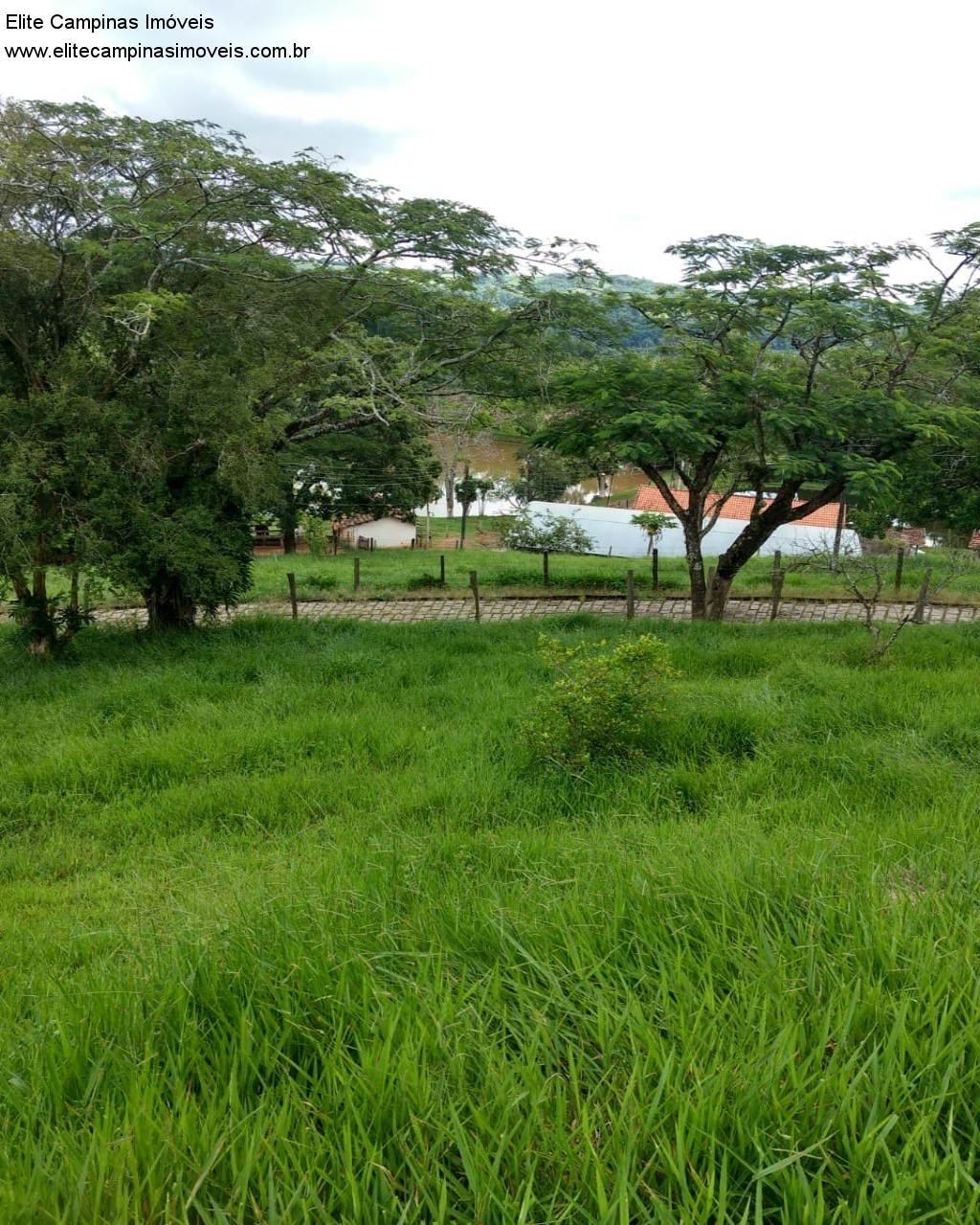 Fazenda à venda com 3 quartos, 10m² - Foto 30