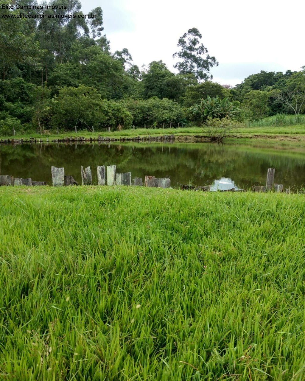 Fazenda à venda com 3 quartos, 10m² - Foto 35