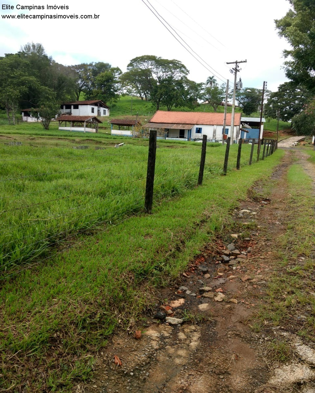 Fazenda à venda com 3 quartos, 10m² - Foto 36