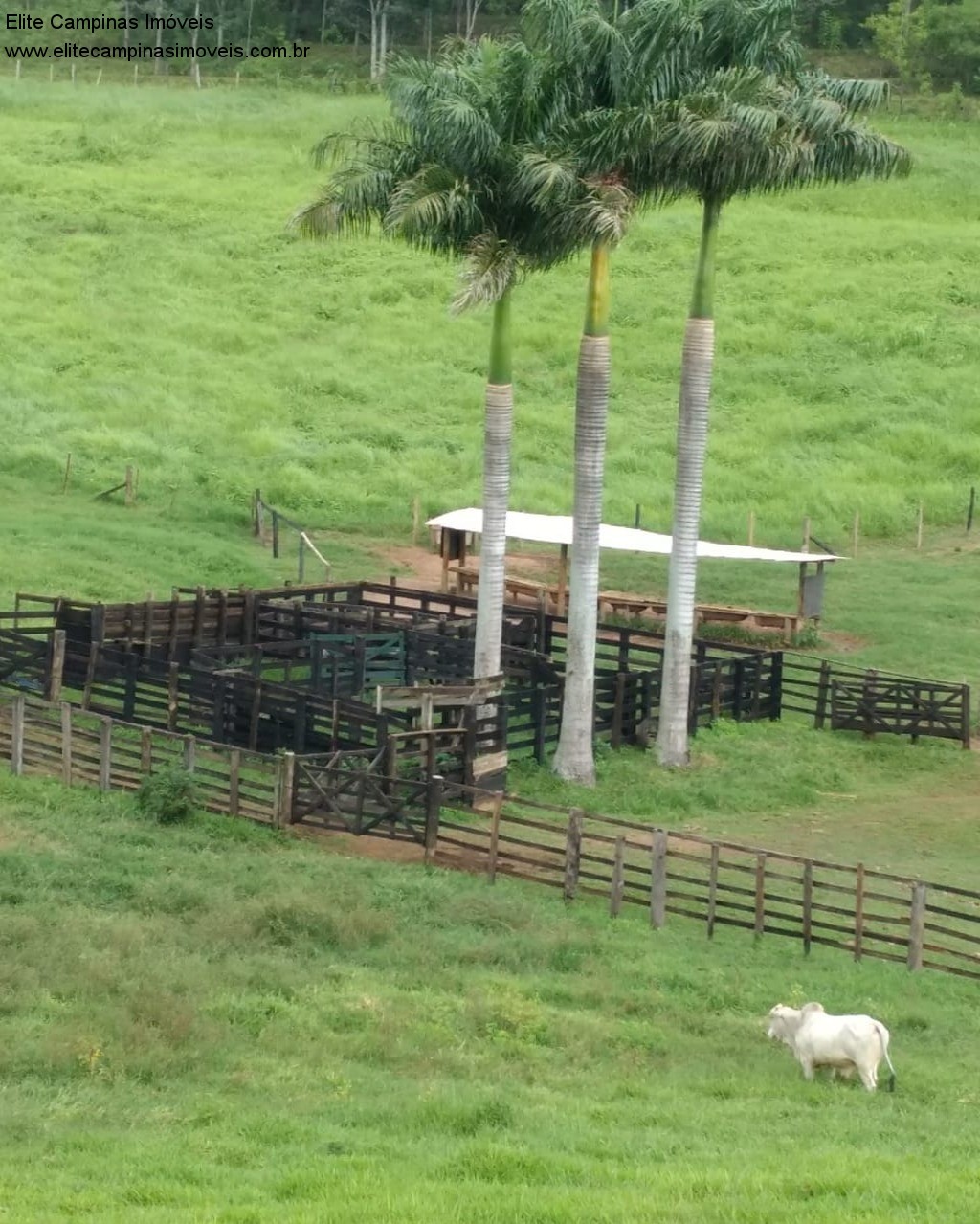 Fazenda à venda com 3 quartos, 10m² - Foto 42